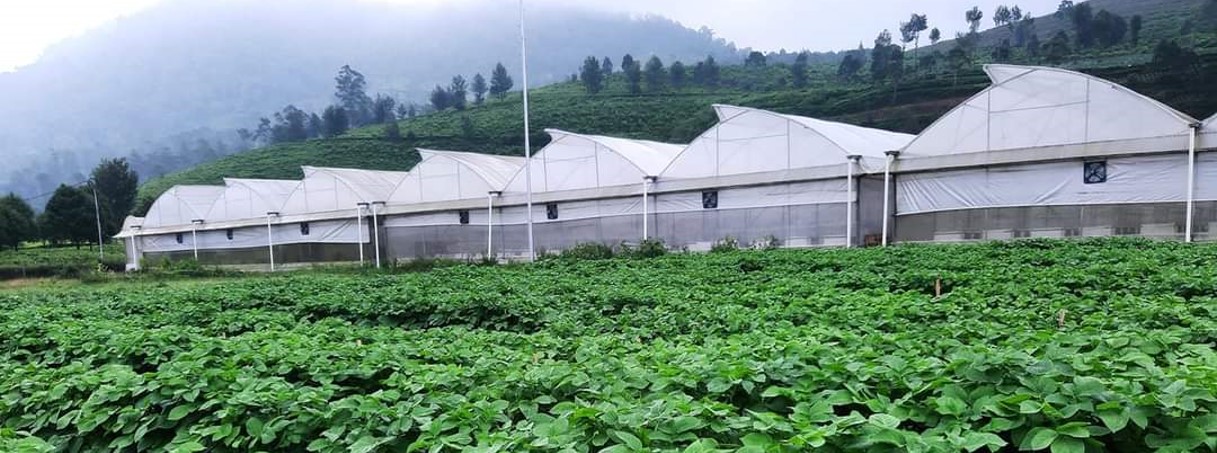 Bagus Dite Ratri Pratama